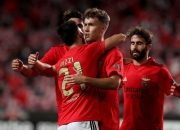 开云平台-本菲卡力克对手，取得胜利！的简单介绍