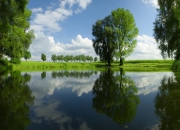 开云平台-赛道上的战术大师，福登在F1揭幕战的阿尔及利亚式压制