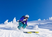 开云下载-跨界制霸，莫兰特存在感拉满，辽宁队如何爵士了篮球世界