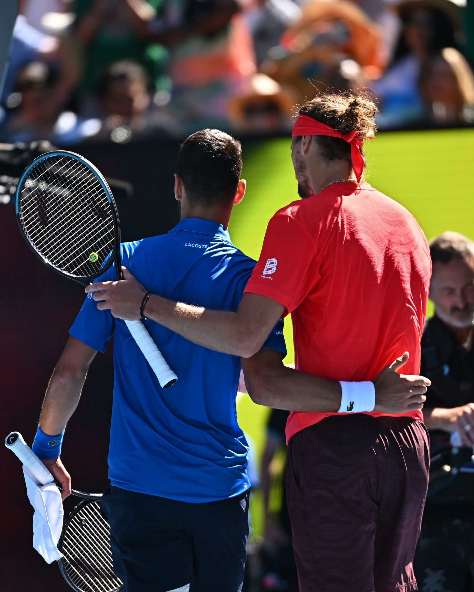 戴维斯杯险胜澳网，穆雷刷新纪录的简单介绍