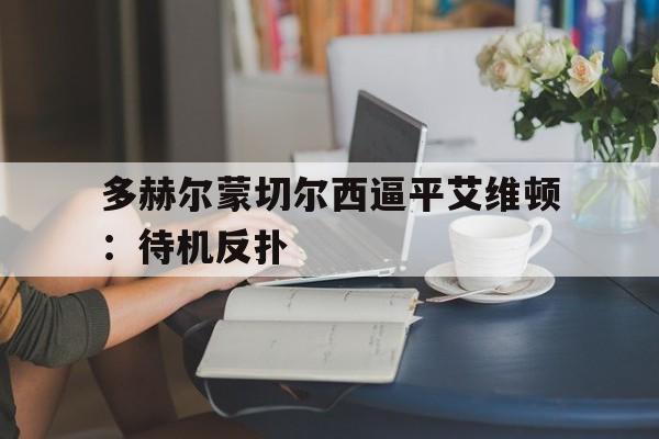 多赫尔蒙切尔西逼平艾维顿：待机反扑的简单介绍