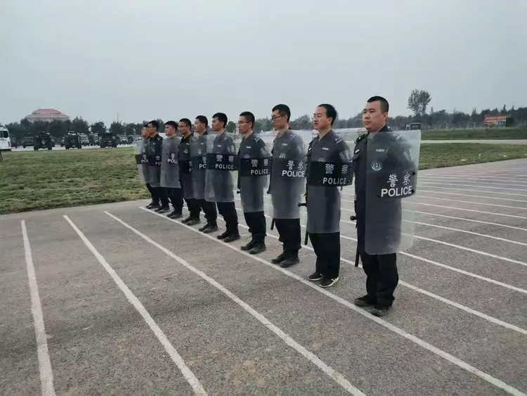 关于新西兰球队训练营拉练多国,积极备战赛事的信息 关于新西兰球队训练营拉练多国,积极备战赛事的信息