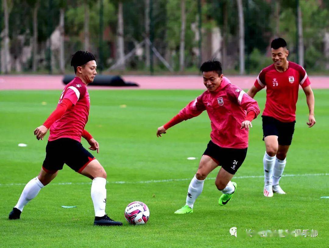 关于新西兰球队训练营拉练多国,积极备战赛事的信息 关于新西兰球队训练营拉练多国,积极备战赛事的信息