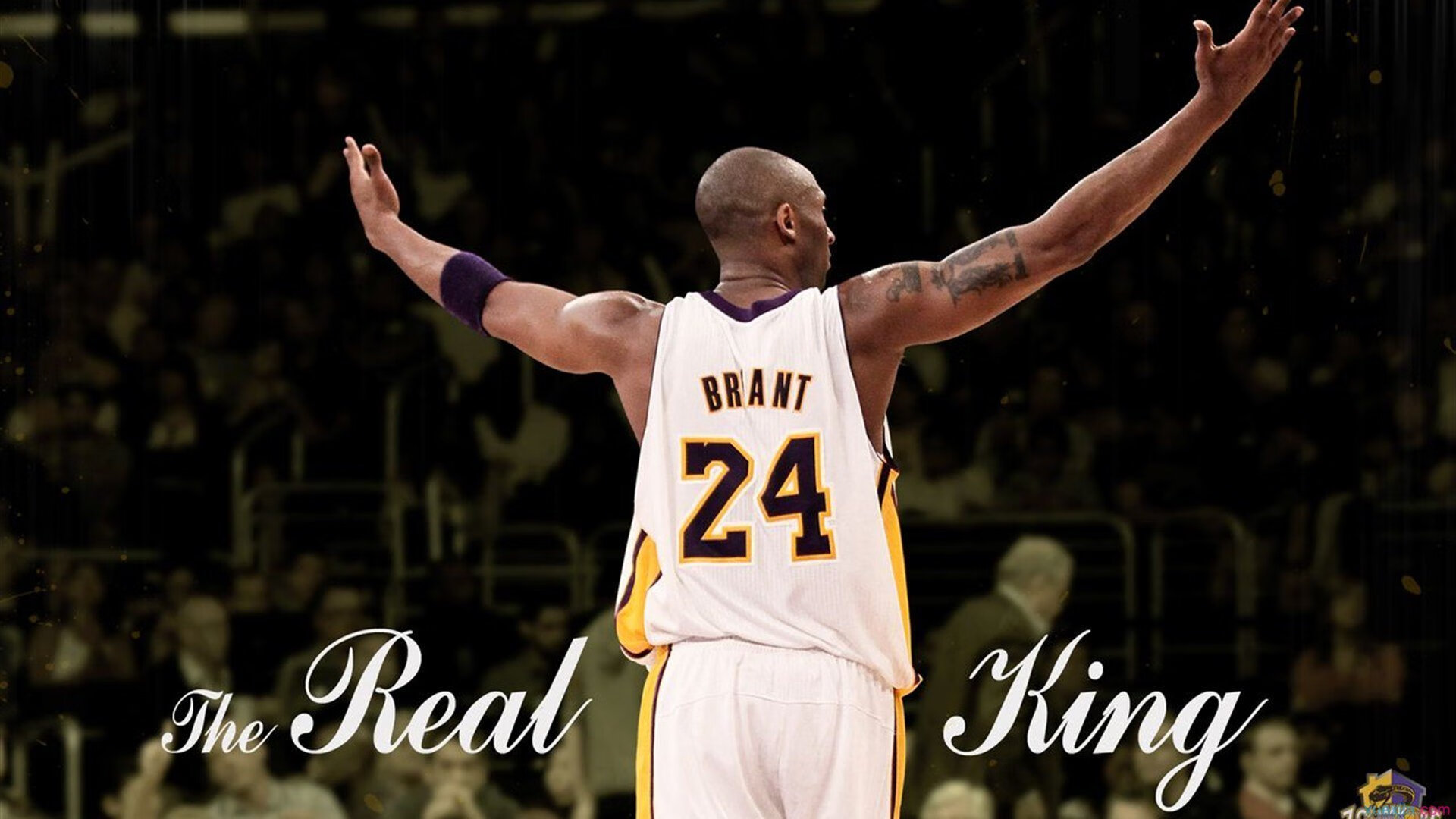 赛道上的红与黑，法拉利惊天翻盘，周冠宇惊艳四座